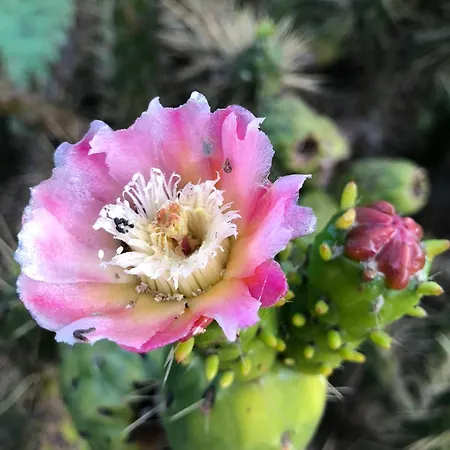 Boutique - Casa Esteval