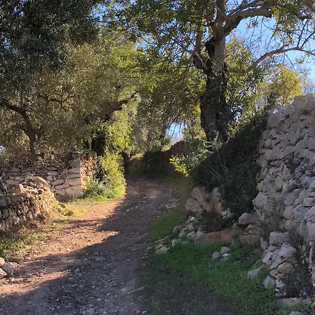 Boutique - Casa Esteval Alte