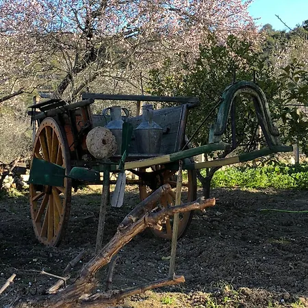 Bed & Breakfast Boutique - Casa Esteval Alte