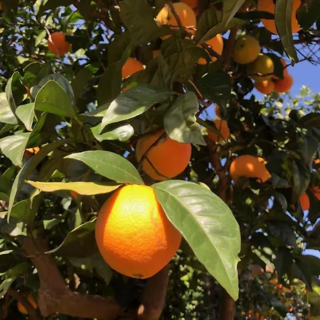 Boutique - Casa Esteval 4* Альте