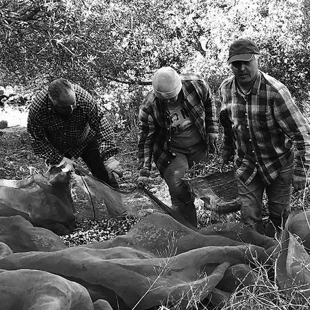 Boutique - Casa Esteval