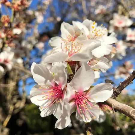 Boutique - Casa Esteval Alte