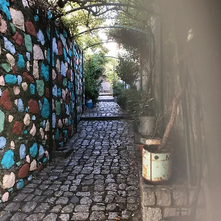 Boutique - Casa Esteval אלטה