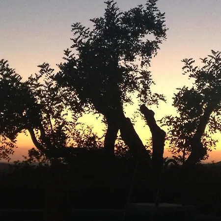 Bed and Breakfast Boutique - Casa Esteval