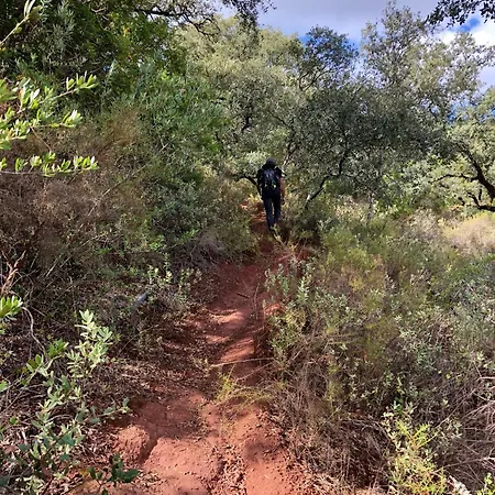 Bed and Breakfast Boutique - Casa Esteval