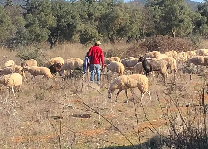 לינה וארוחת בוקר Boutique - Casa Esteval אלטה